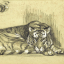 Gaston SUISSE (1896-1988) - Tigre couché et patte.